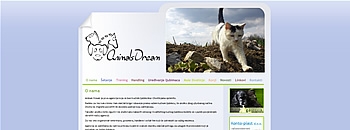 Animalsdream agency