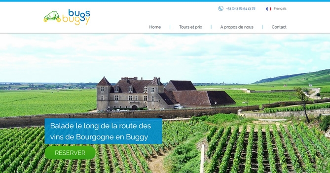 BugsBuggy